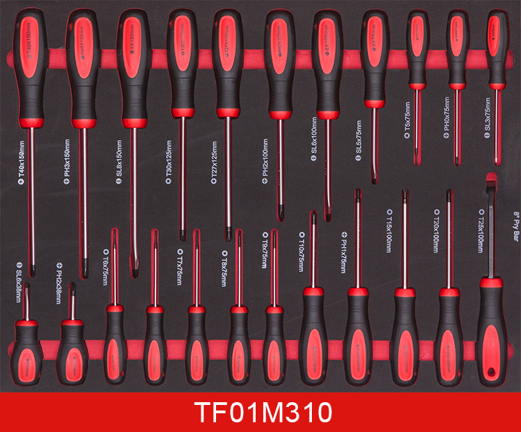 4-TF01M310 