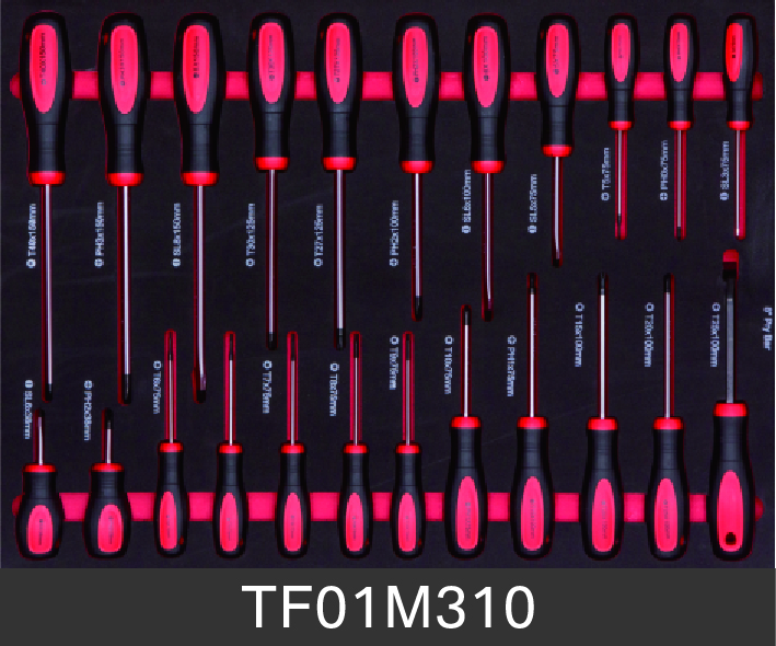 Tf01m310